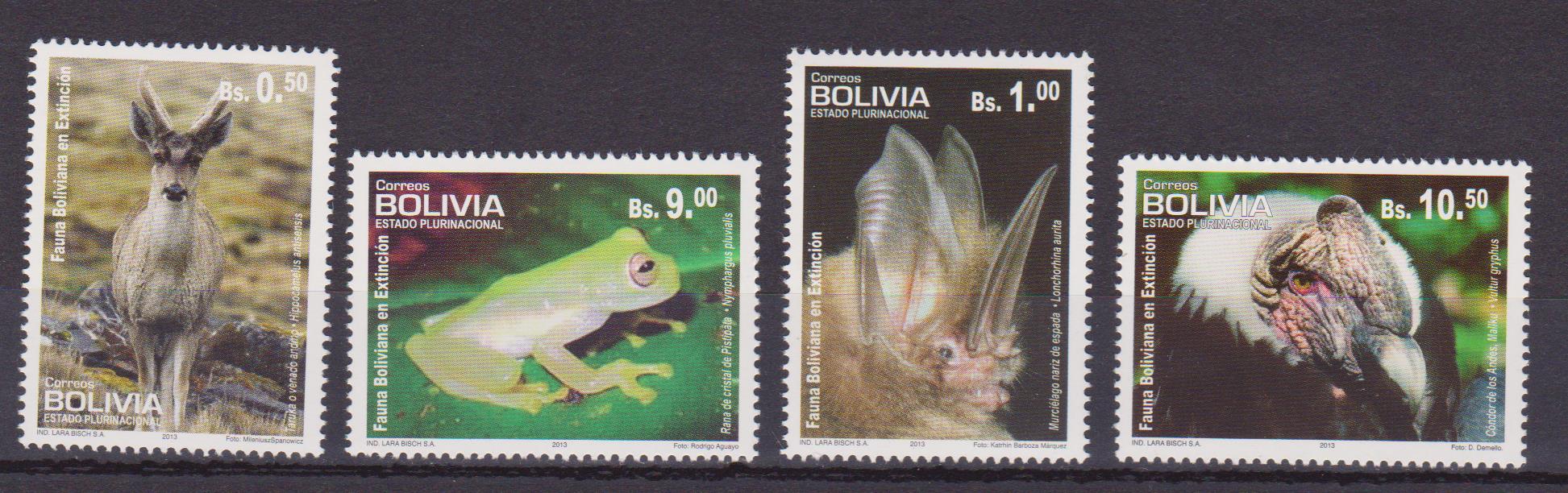 Bolivia fauna 001