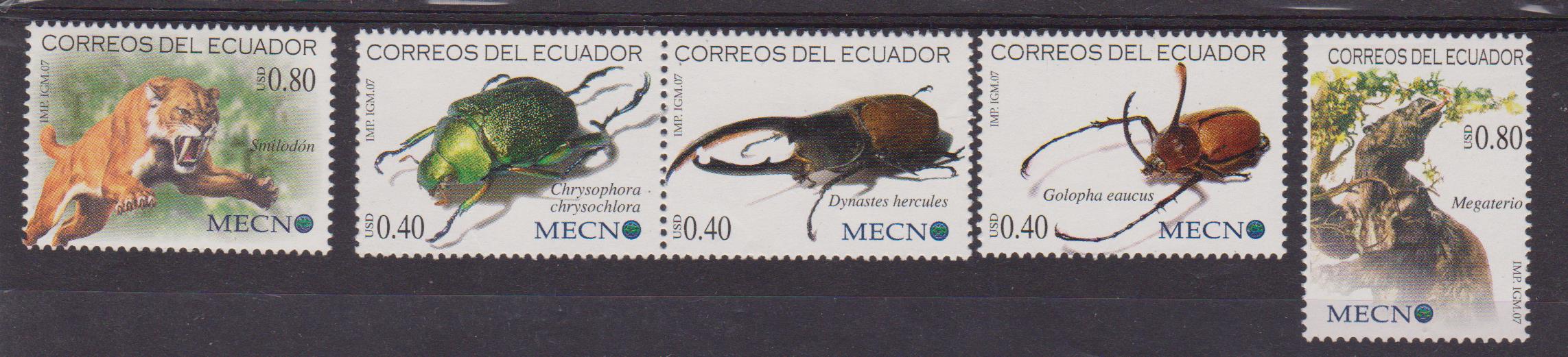 Bolivia insetti 001