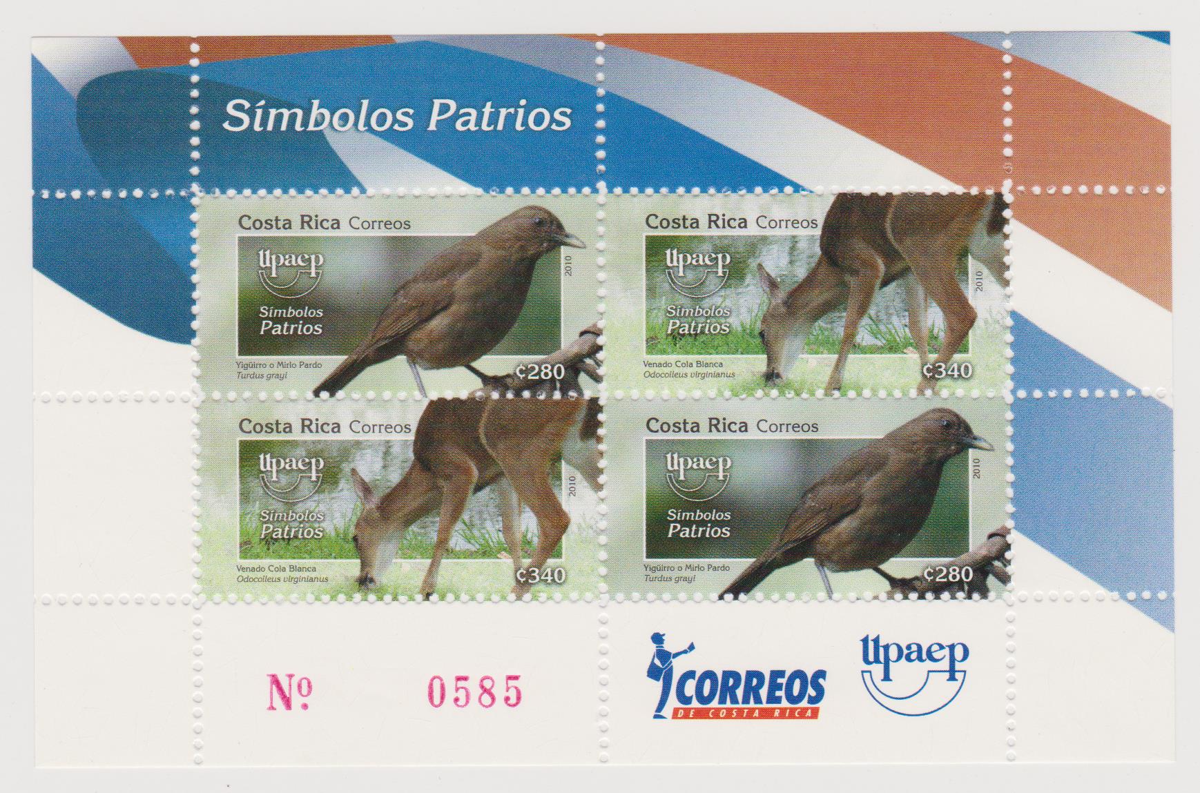 Costa Rica fauna 003
