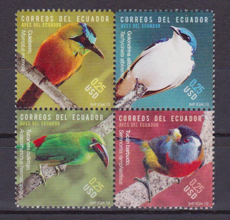 Ecuador uccelli 001