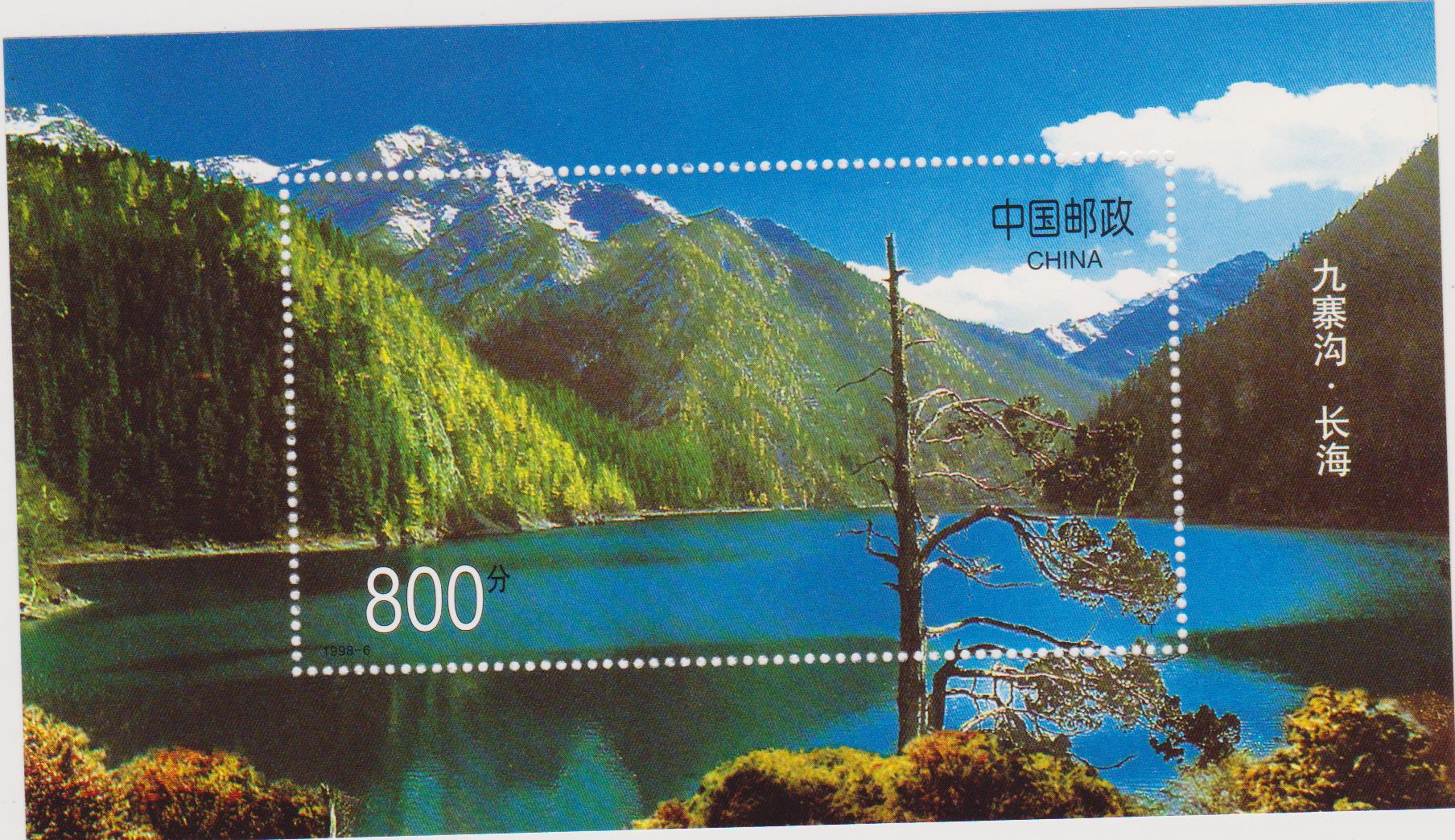 CINA FOGLIETTO 002