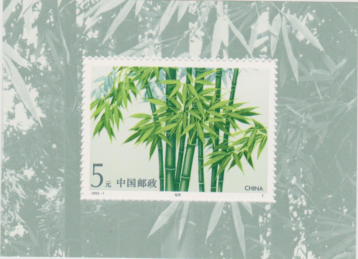 Cina foglietto 004