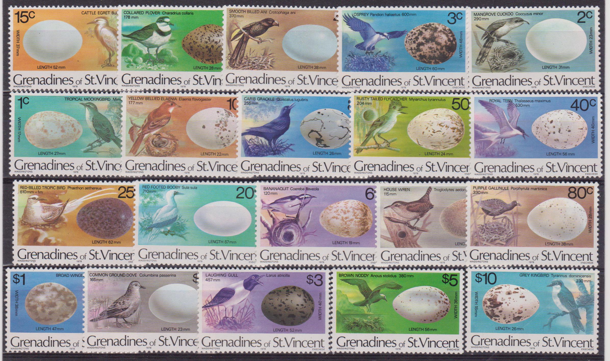 Grenadine uccelli 001