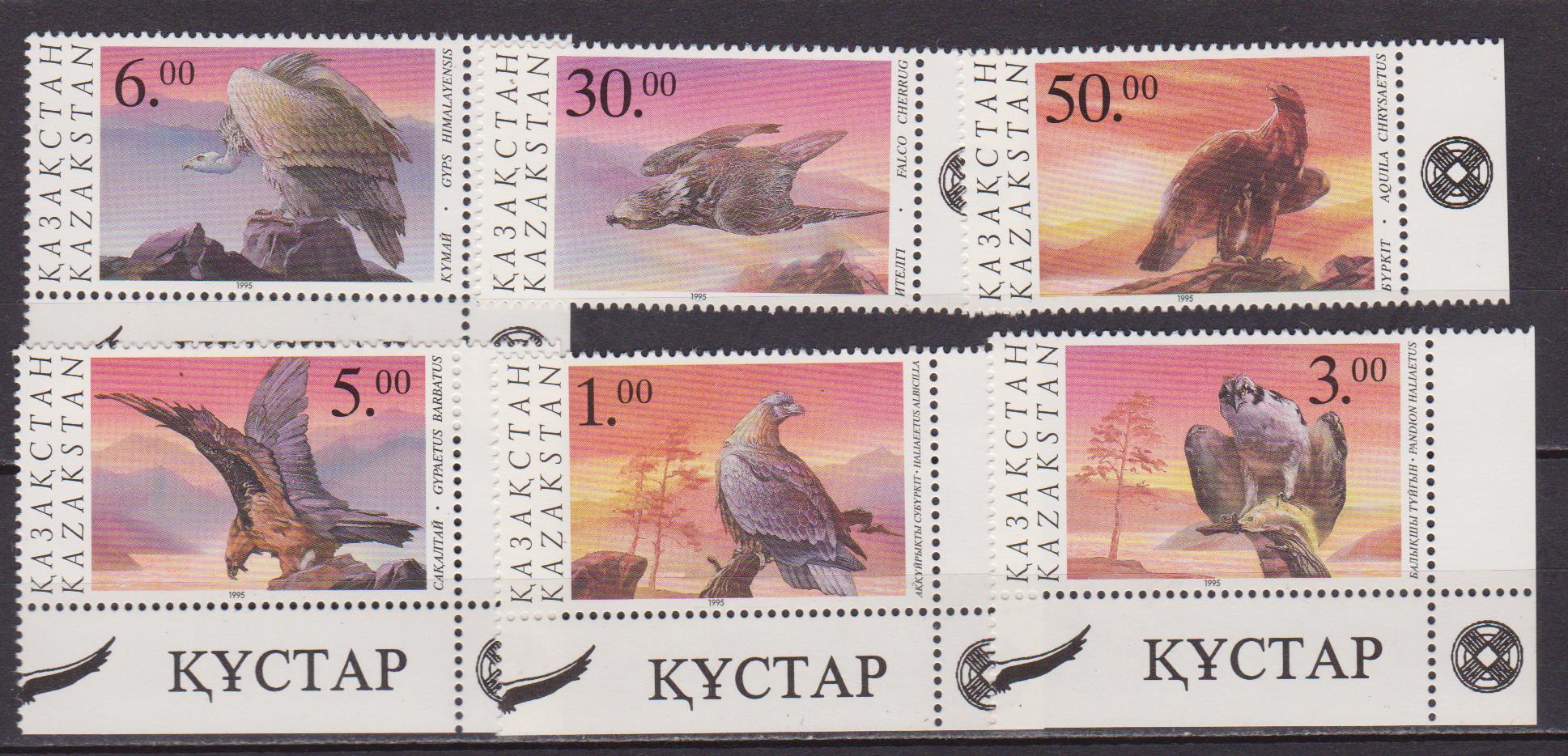 kazakistan uccelli 001