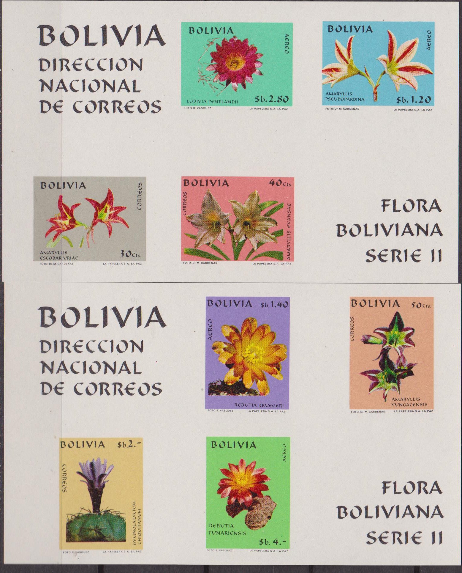 BOLIVIA 002