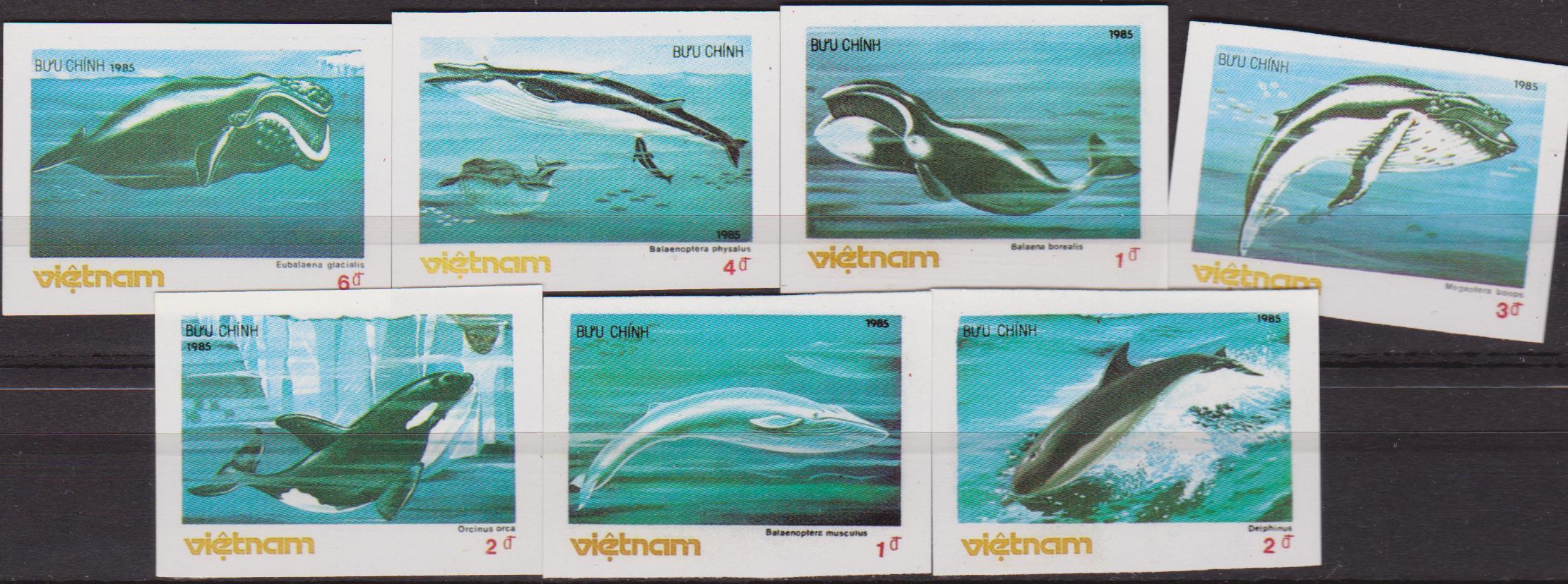 vietnam-005