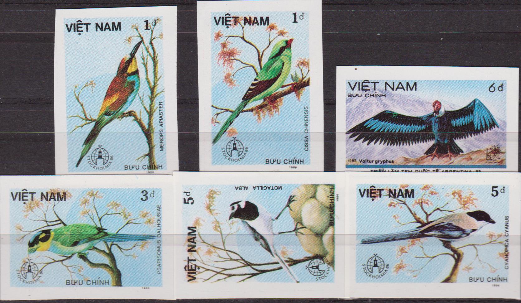 vietnam-007