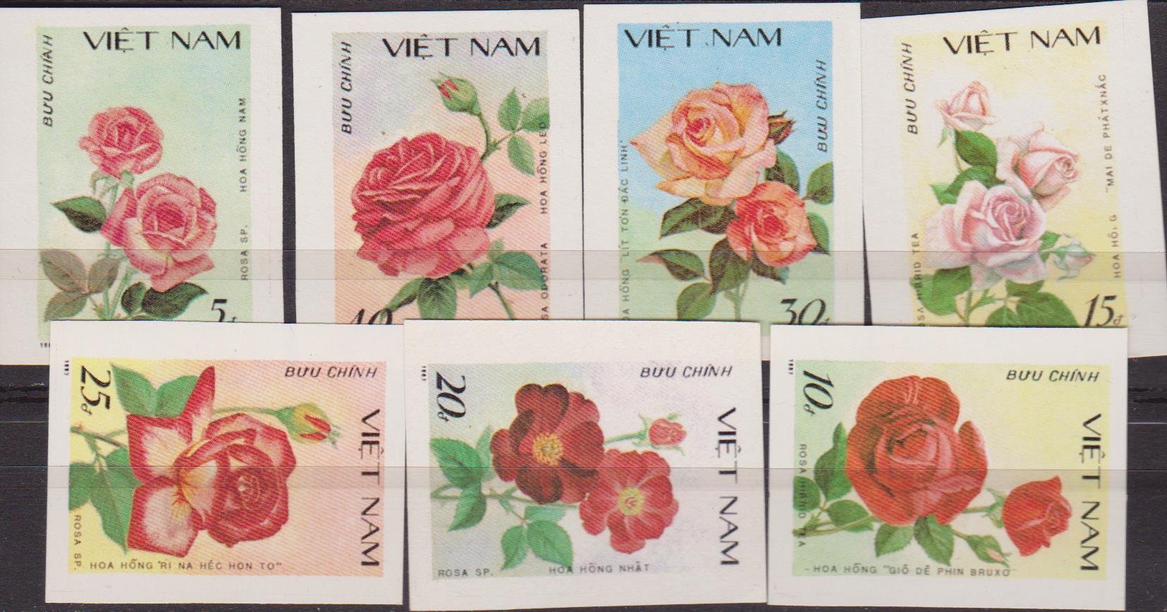 vietnam-008