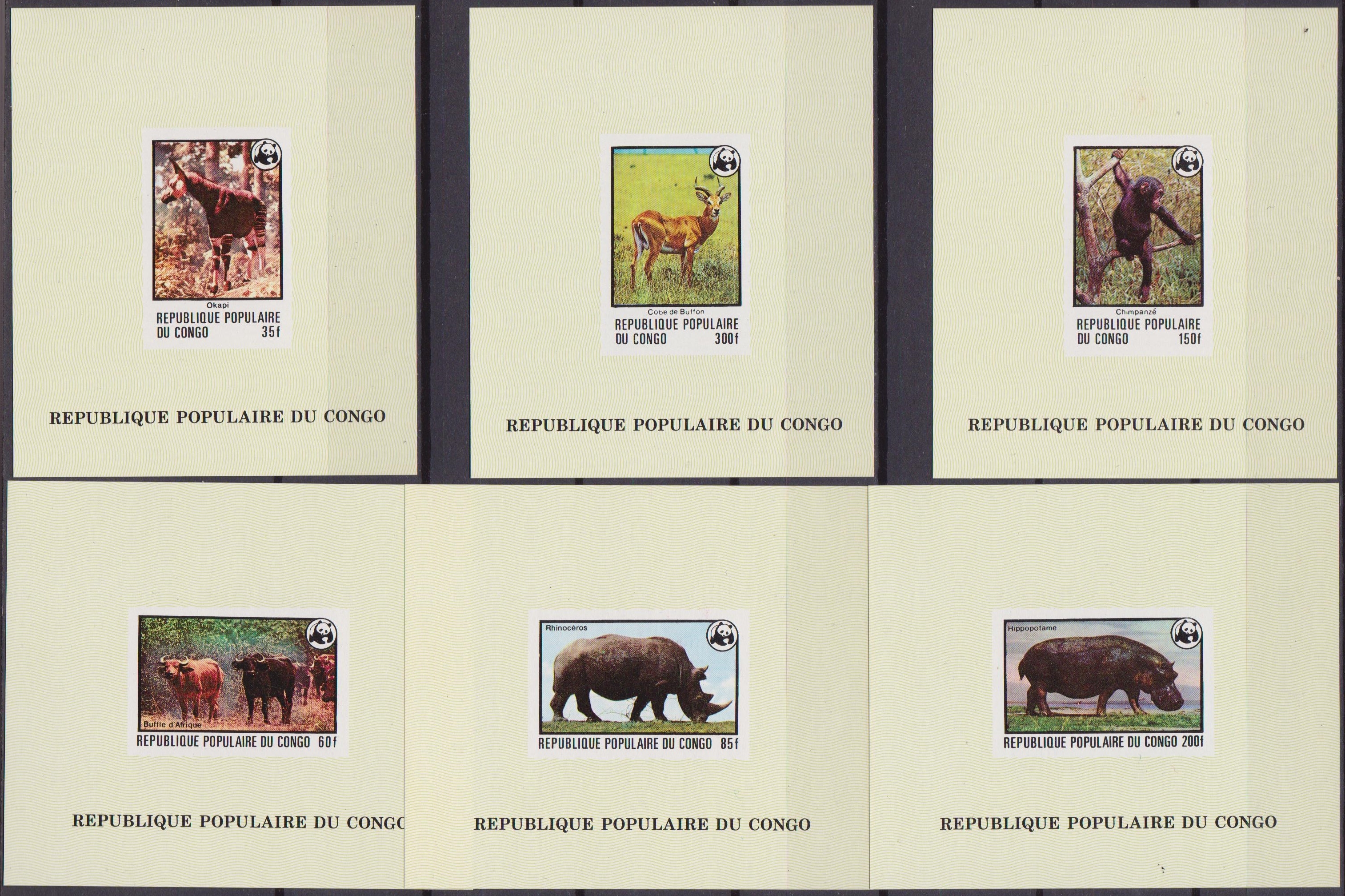 congo-wwf-002