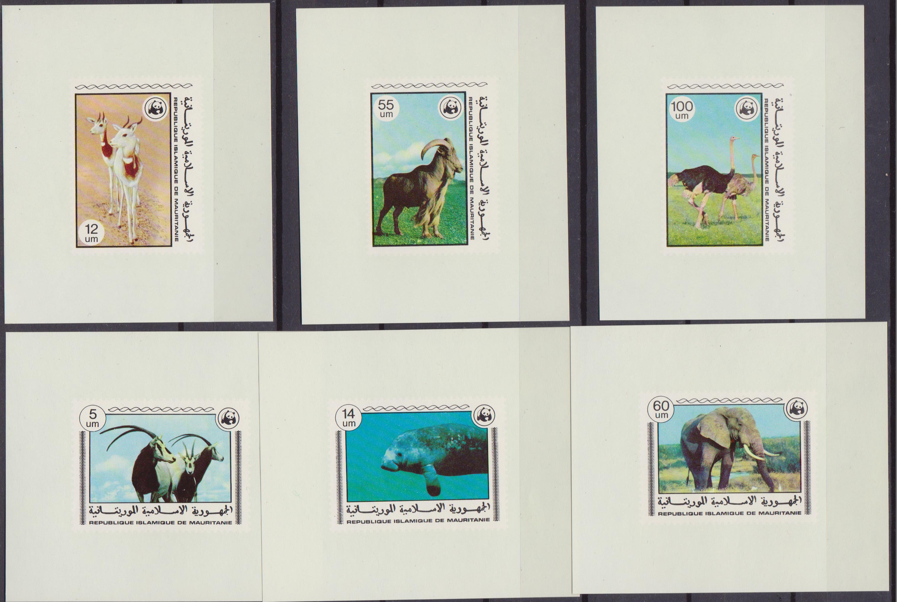 mauritania-wwf-001
